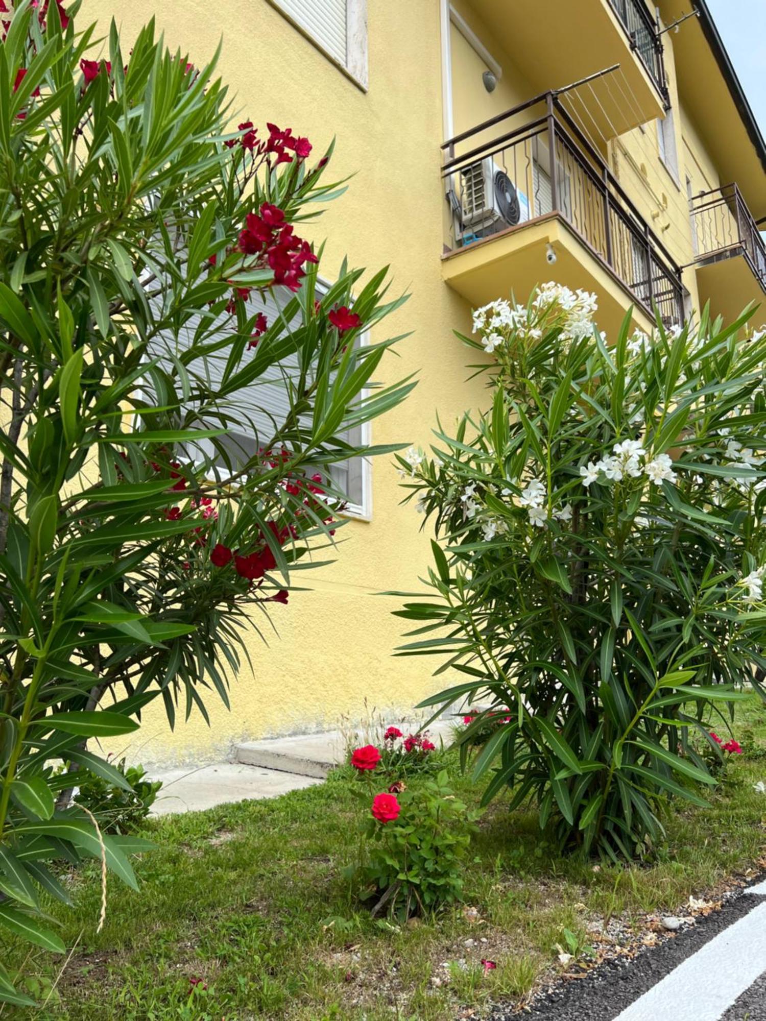Casa R&E Villa Valbrona Ngoại thất bức ảnh
